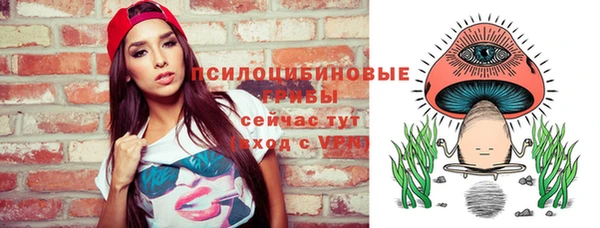 хмурый Алзамай