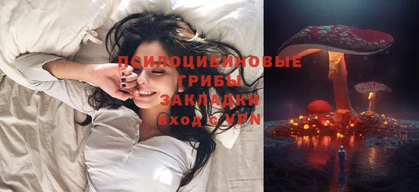 хмурый Алзамай