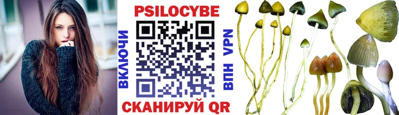 купить наркотик  Сольвычегодск  мега как войти  Псилоцибиновые грибы MAGIC MUSHROOMS 